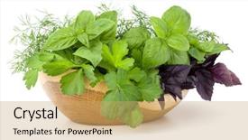  Presentation with sweet basil - Cool new PPT theme with sweet basil red basil leaves backdrop and a coral colored foreground