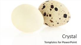  Presentation with quail - Presentation theme having white background damaged skin background and a cream colored foreground