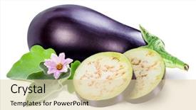  Presentation with eggplant - PPT theme featuring white background file contains clipping background and a lemonade colored foreground