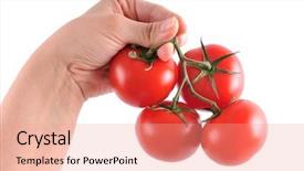  Presentation with image resolution - Audience pleasing slides consisting of white background high resolution close up studio image of a woman's hand holding a cluster of fresh tomatoes backdrop and a coral colored foreground