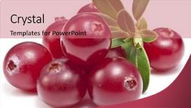  Presentation with maximum - Slide set consisting of white background image with maximum background and a  colored foreground