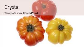  Presentation with plantation tomatoes - Colorful slide deck enhanced with white background red simple - heirloom tomatoes backdrop and a coral colored foreground