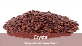  Presentation with chinese medicine - Presentation theme featuring white background suan zao ren background and a tawny brown colored foreground