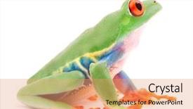  Presentation with animal conservation - PPT theme with white background this amphibian background and a coral colored foreground