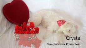  Presentation with valentines day - Slide deck consisting of white background valentines day heart background and a soft green colored foreground