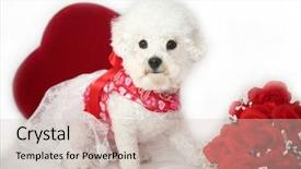  Presentation with valentines day - Colorful PPT layouts enhanced with white background valentines day heart backdrop and a soft green colored foreground