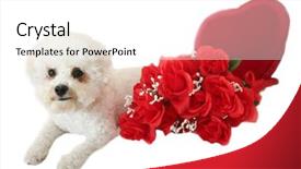  Presentation with valentines day - Audience pleasing theme consisting of white background valentines day heart backdrop and a white colored foreground