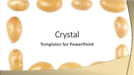  Presentation with ripe golden potato on white - Audience pleasing slide set consisting of white background with copy space backdrop and a  colored foreground