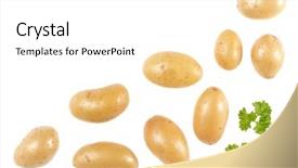  Presentation with ripe golden potato on white - PPT theme featuring white background with copy space background and a white colored foreground