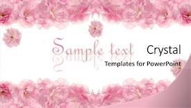  Presentation with cherry - Cool new presentation with white background with free backdrop and a pink colored foreground