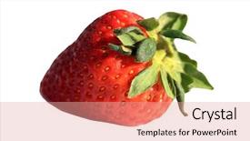  Presentation with vine - Audience pleasing slides consisting of white background with room backdrop and a coral colored foreground