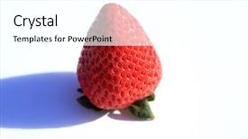  Presentation with vine - Cool new PPT theme with white background with room backdrop and a white colored foreground