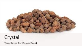  Presentation with traditional chinese medicine - Beautiful PPT theme featuring white background yi zhi ren backdrop and a lemonade colored foreground