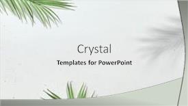  Presentation with minimal - Slide deck enhanced with white-banner-with-palm-leaves background and a white colored foreground