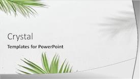  Presentation with palm leaves - Slide deck enhanced with white-banner-with-palm-leaves background and a white colored foreground