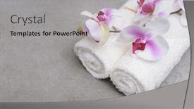  Presentation with branch - Cool new presentation theme with white-bath-rolled-towel backdrop and a light gray colored foreground