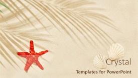  Presentation with starfish - Slide set enhanced with white-beach-sand-with-shadow background and a lemonade colored foreground