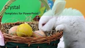  Presentation with easter basket - PPT theme enhanced with white beautiful rabbit easter bunny background and a seafoam green colored foreground