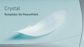  Presentation with feather - PPT layouts enhanced with white-bird-feather-on-blue background and a light blue colored foreground