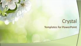  Presentation with apple trees are blooming pink - Amazing PPT theme having village background - white blossom of apple trees backdrop and a cream colored foreground