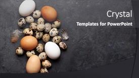  Presentation with quail - Colorful slide set enhanced with white-brown-and-quail-eggs backdrop and a dark gray colored foreground