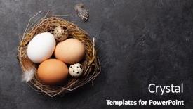  Presentation with quail - Audience pleasing slide set consisting of white-brown-and-quail-eggs backdrop and a dark gray colored foreground