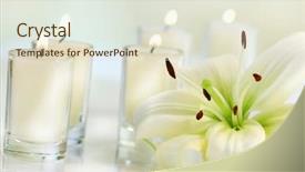  Presentation with lily flower - Slides consisting of white candles - lily flower with candle background and a lemonade colored foreground
