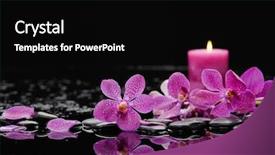  Presentation with pink black - Theme enhanced with white candles - pink orchid and candle background and a black colored foreground