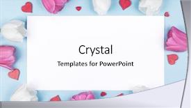  Presentation with border pink - Colorful PPT layouts enhanced with white card background border backdrop and a pink colored foreground