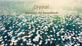  Presentation with blue green - Audience pleasing presentation theme consisting of white-chamomiles-on-green-field backdrop and a lemonade colored foreground