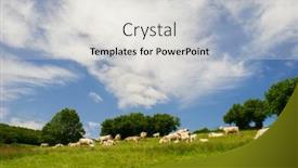  Presentation with agriculture black and white cow - Beautiful PPT layouts featuring white-charolais-cows-in-french backdrop and a light gray colored foreground