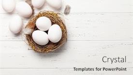  Presentation with flat - PPT layouts with white-chicken-eggs-in-nest background and a white colored foreground