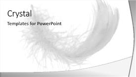  Presentation with feather - Slide set having white chicken feather isolated background and a white colored foreground