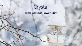  Presentation with events and decoration presentation - Audience pleasing PPT theme consisting of white christmas decoration bird feeder backdrop and a  colored foreground