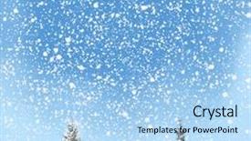  Presentation with winter - Presentation featuring white christmas trees blue - winter background background and a  colored foreground