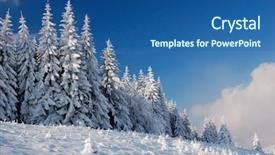  Presentation with snow - Theme featuring white christmas trees blue - winter landscape with snow background and a ocean colored foreground