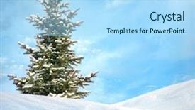  Presentation with winter blue - Cool new PPT theme with white christmas trees blue - winter landscape backdrop and a light blue colored foreground