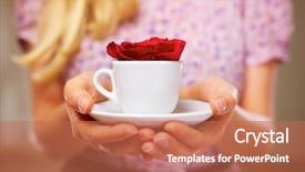  Presentation with gentle - Slides having white coffee cup with rose background and a  colored foreground