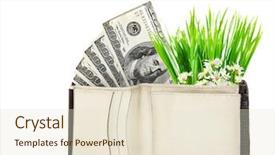  Presentation with the money hundred - Beautiful theme featuring white conceptual image of money backdrop and a lemonade colored foreground