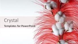  Presentation with white flowers - Beautiful PPT theme featuring white-cotton-flowers backdrop and a lemonade colored foreground