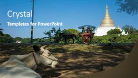  Presentation with white horse - Audience pleasing PPT layouts consisting of white-cow-is-lying backdrop and a teal colored foreground