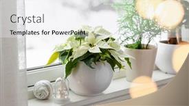  Presentation with christmas lights - Slide deck featuring white-cozy-window-arrangement-winter background and a white colored foreground