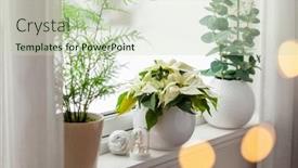  Presentation with christmas lights - Slide deck featuring white-cozy-window-arrangement-winter background and a soft green colored foreground