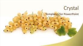  Presentation with currant - Cool new presentation design with white currant fruit with leaf sprigs isolated over white background backdrop and a cream colored foreground