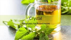  Presentation with nettle - PPT theme consisting of white dead nettle and nettle background and a yellow colored foreground