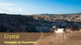  Presentation with cappadocia - Theme enhanced with white-dog-in-cappadocia-anatolia background and a coral colored foreground