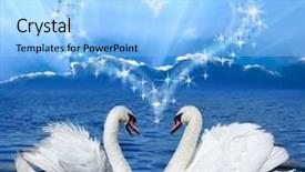  Presentation with white dove - Amazing theme having white dove - pair of lovers swans backdrop and a light blue colored foreground