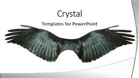  Presentation with pair - Cool new PPT layouts with white dove - pair of wings backdrop and a white colored foreground