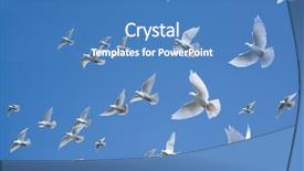  Presentation with white dove - Audience pleasing theme consisting of white dove - pigeons in the sky backdrop and a teal colored foreground