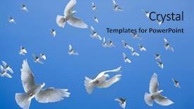  Presentation with white dove - Beautiful PPT theme featuring white dove - pigeons in the sky backdrop and a light blue colored foreground